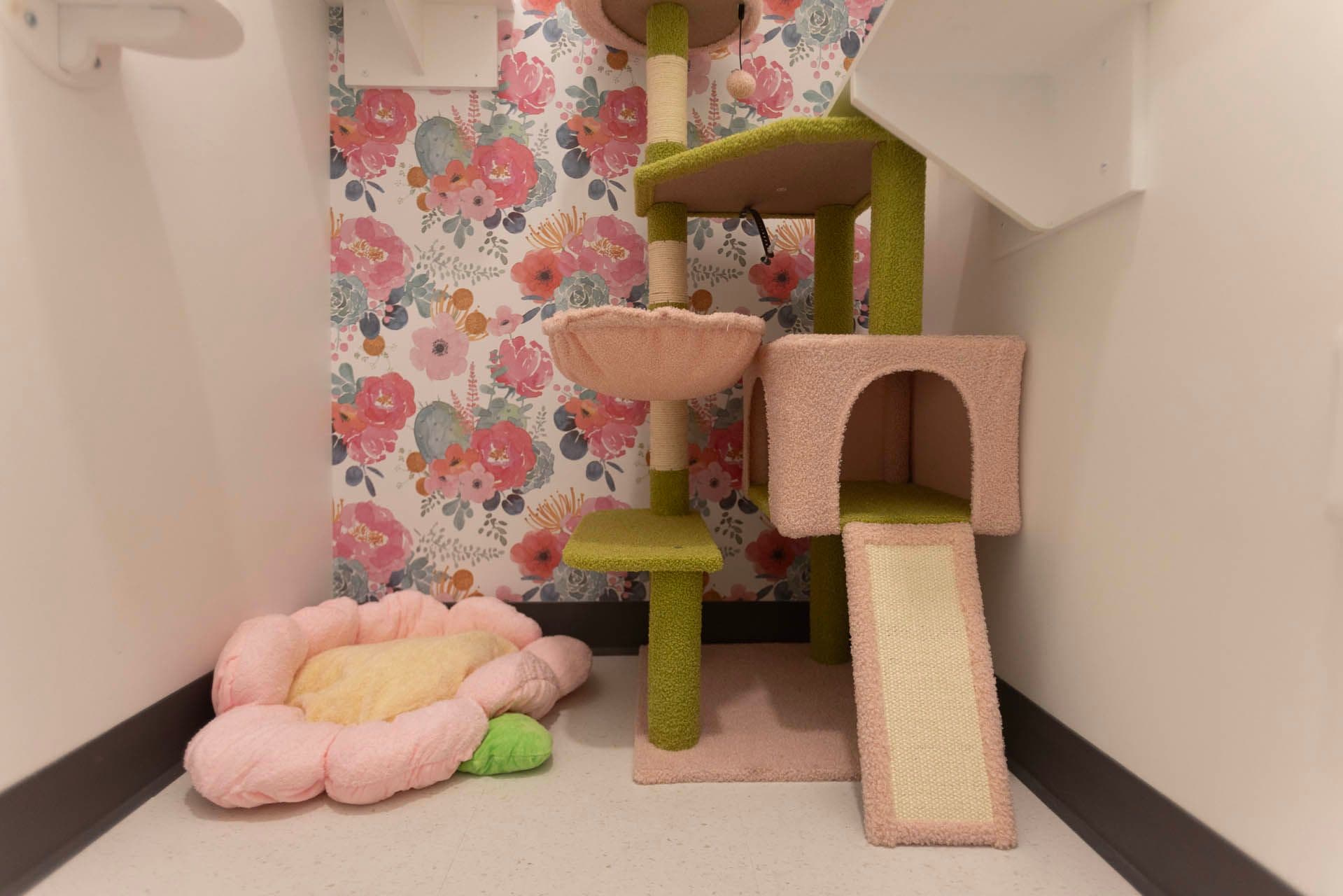 Garden Suite 2