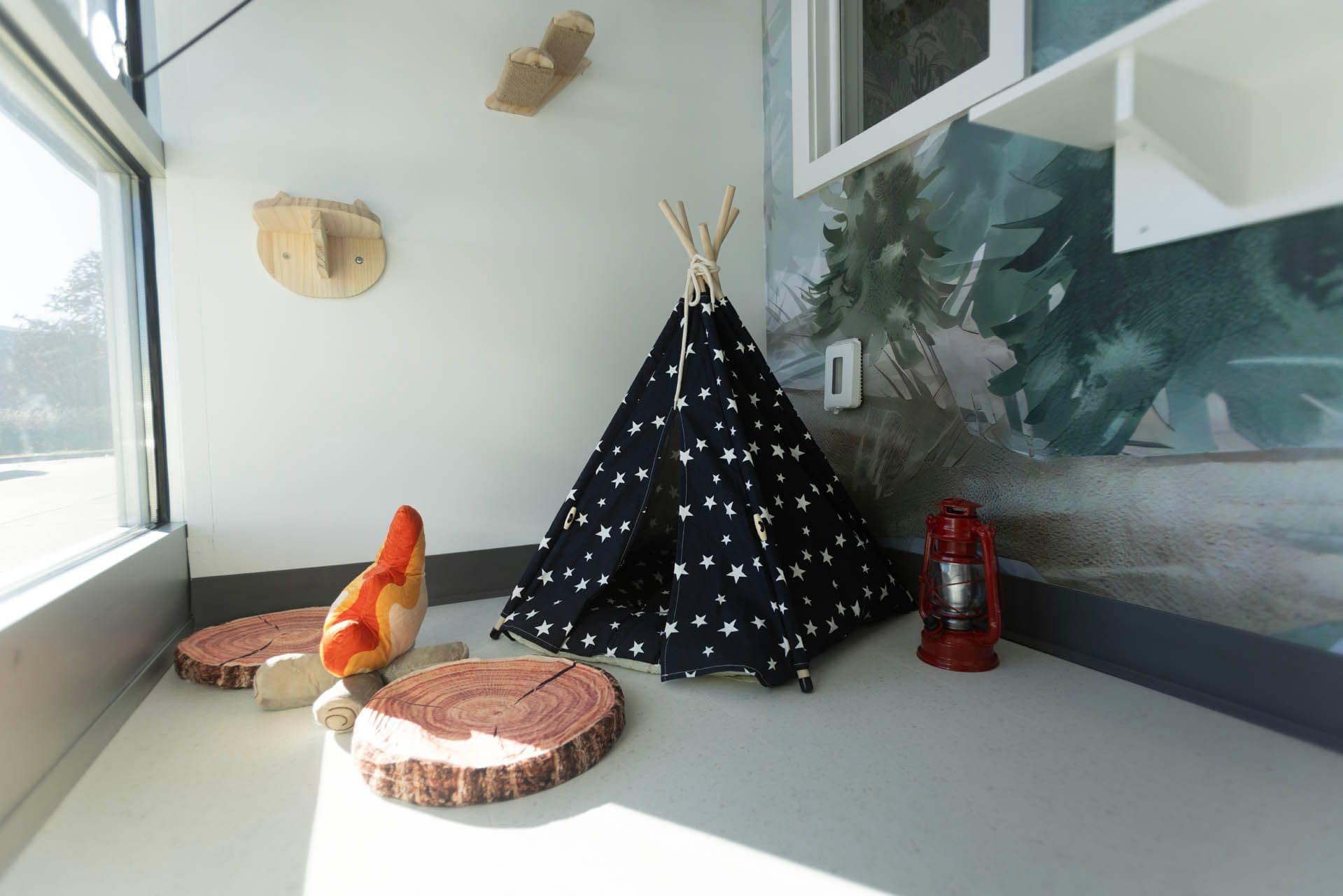 Forest Suite 2